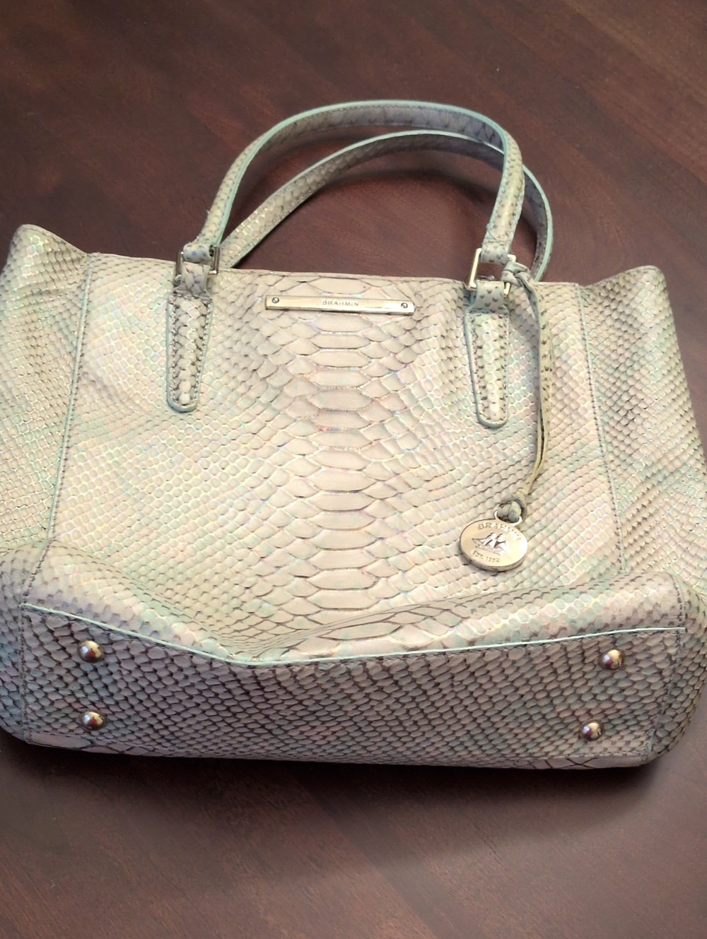 Brahmin Celeste Embossed Medium Sized Handbag/Tote in Mint and Cream